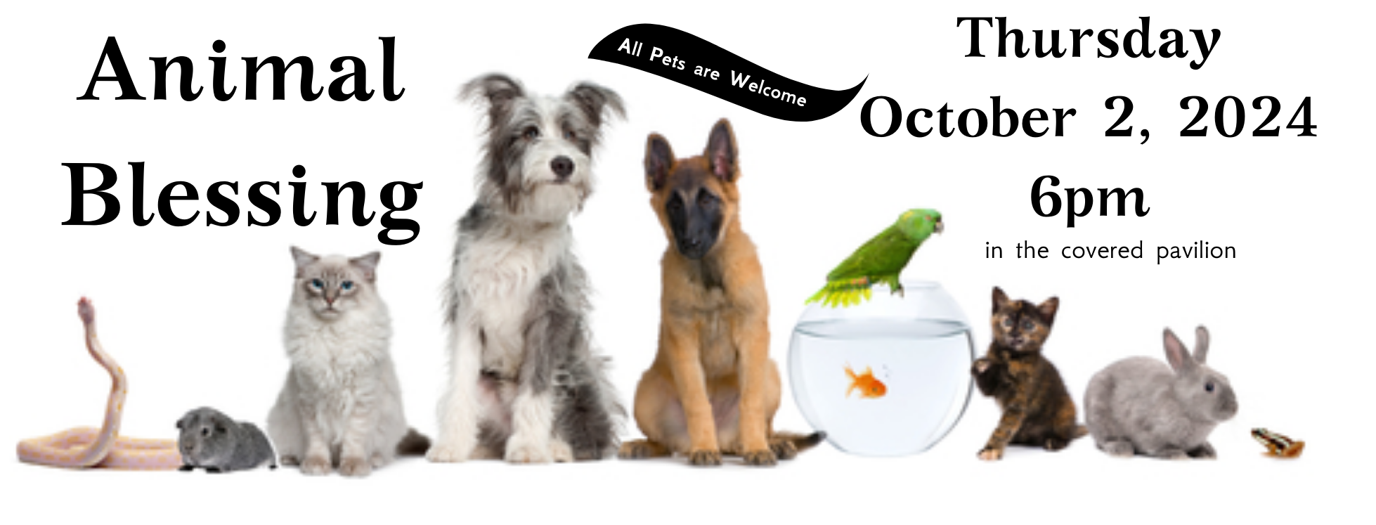 Pet Blessing