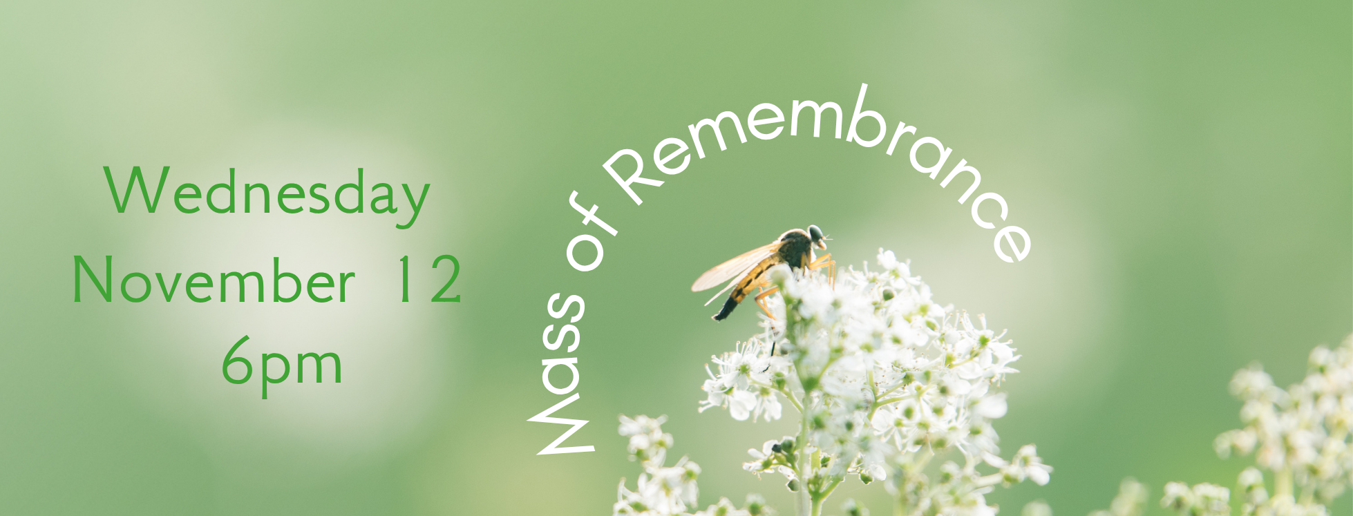 Mass of Remembrance (1)